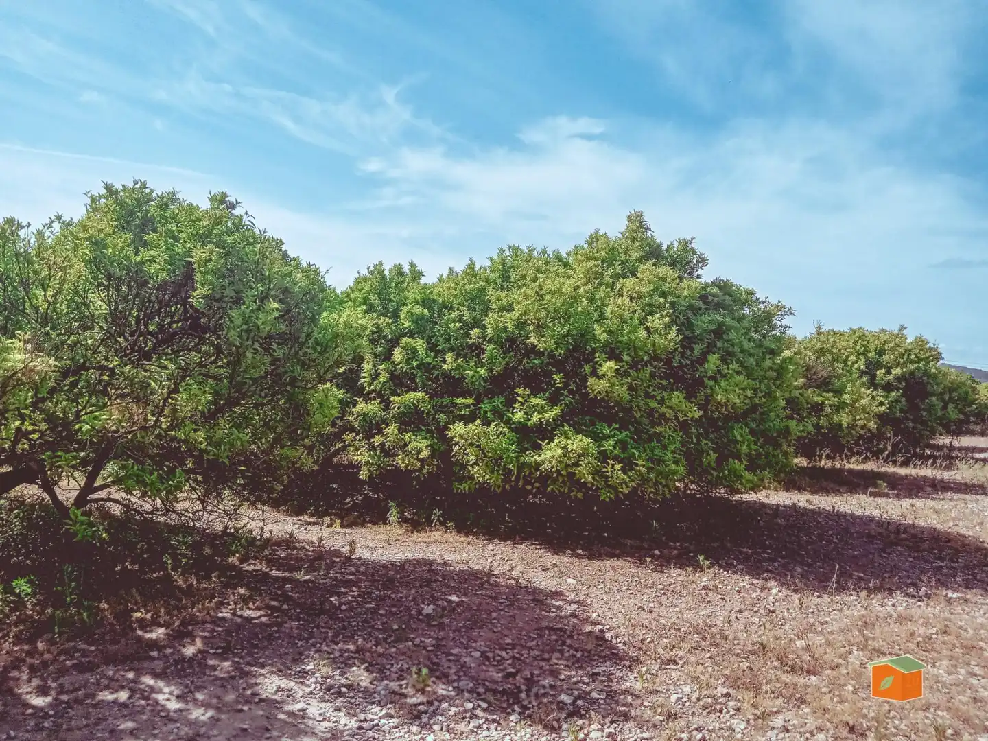Terreno rustico in vendita a Santa Bàrbara
