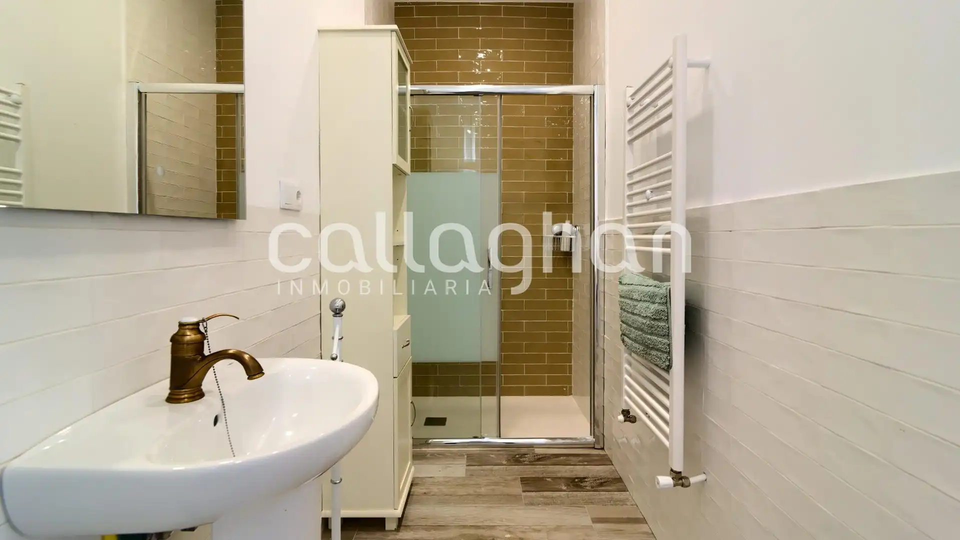 Baño de Casa o chalet en venta en Alzira con Calefacción, Jardín privado y Terraza
