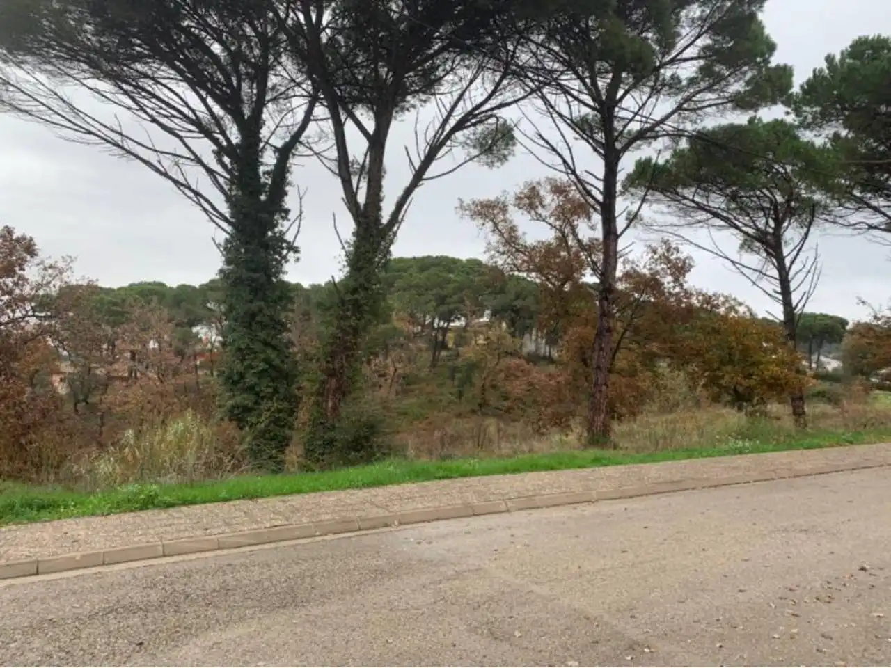 Terreny residencial en venda a Calle segria, imagen 3