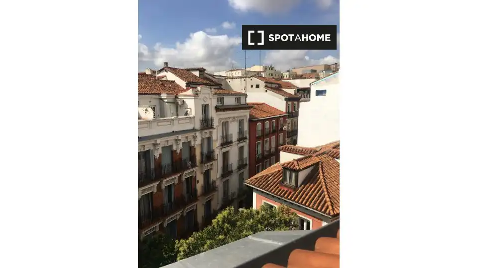 Appartamento con terrazza in affitto a Centro, imagen 17