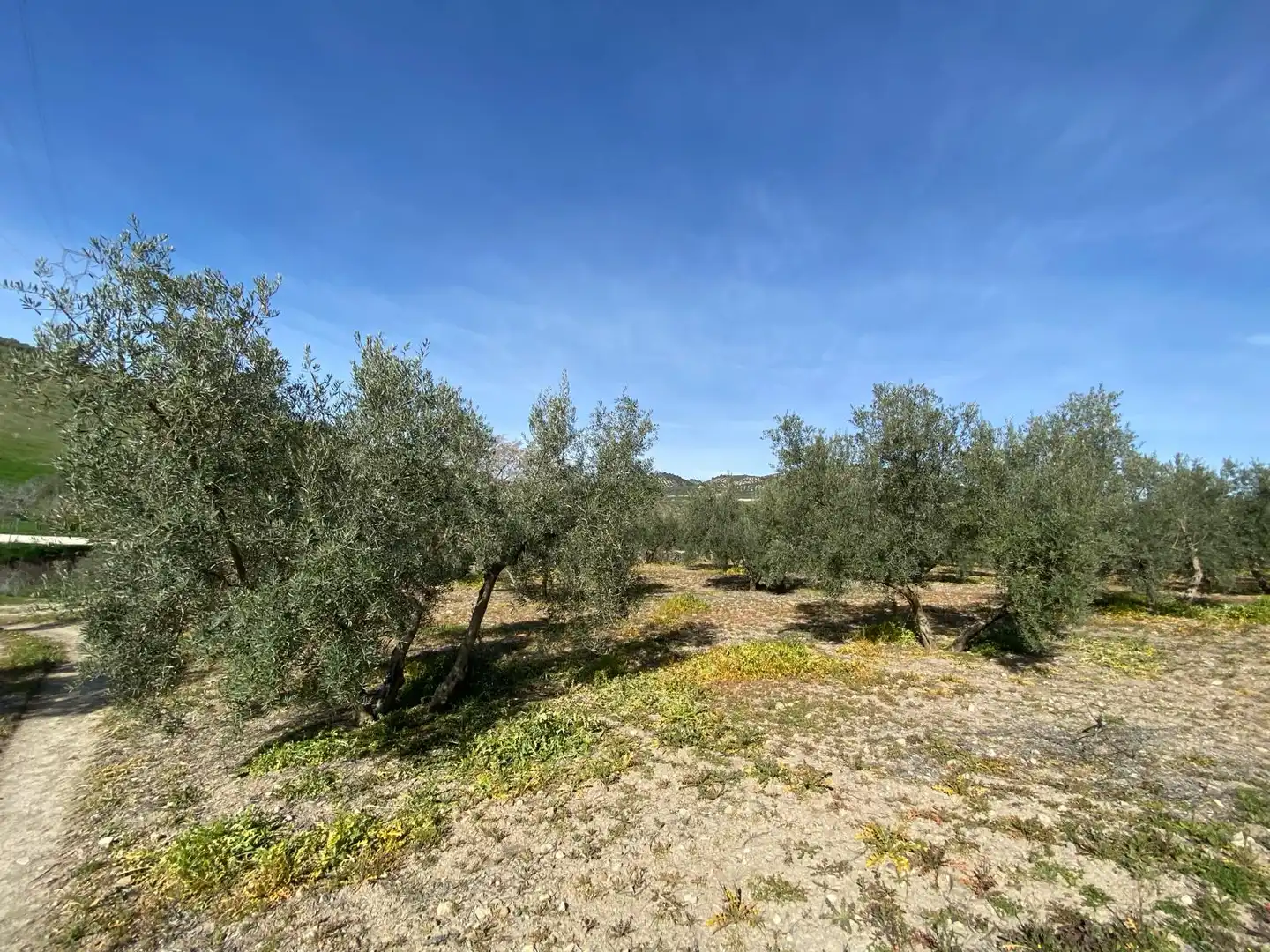 Terreno en venta en Villanueva Mesía