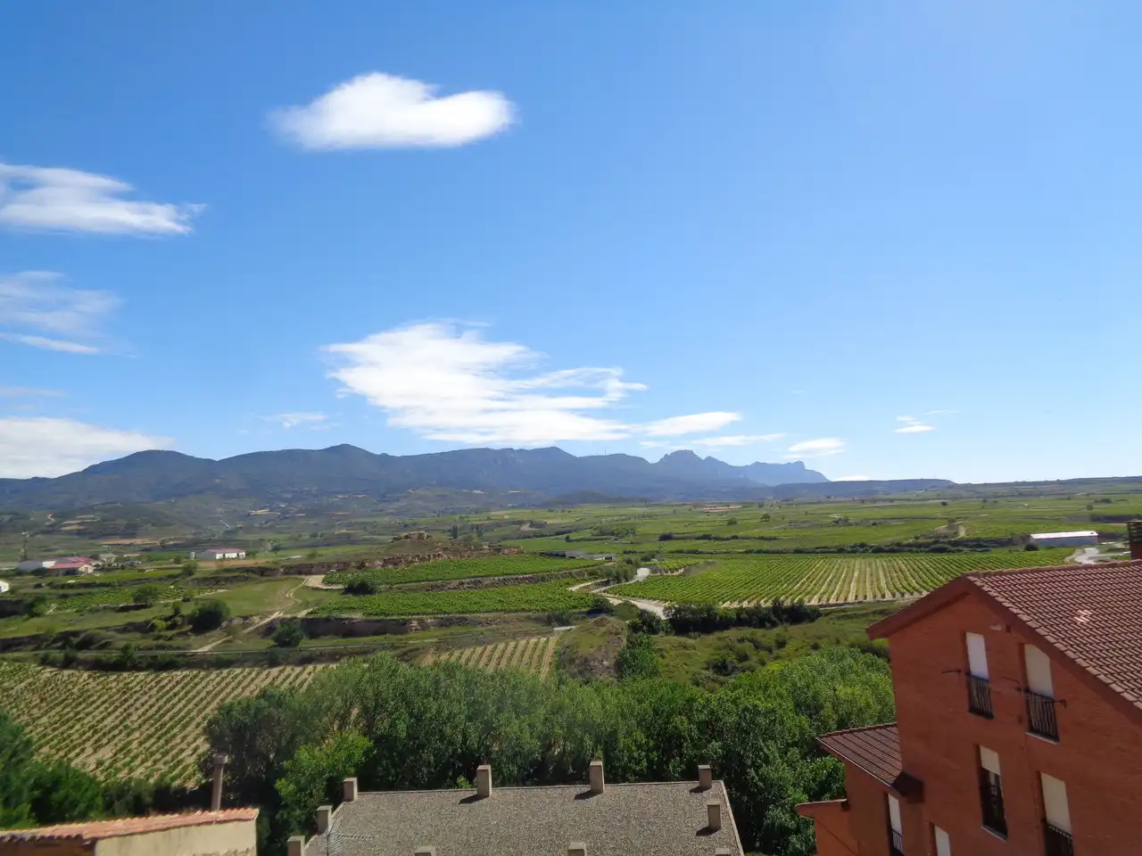 House for sale in San Vicente de la Sonsierra, imagen 43