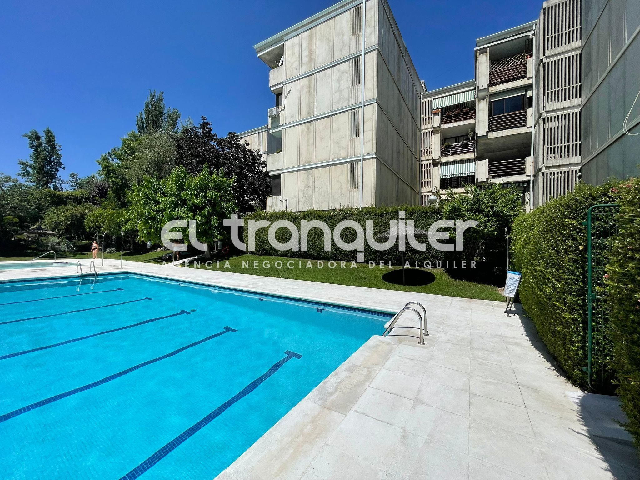 Swimming pool of Flat to rent in Majadahonda  with Air Conditioner, Parquet flooring and Terrace