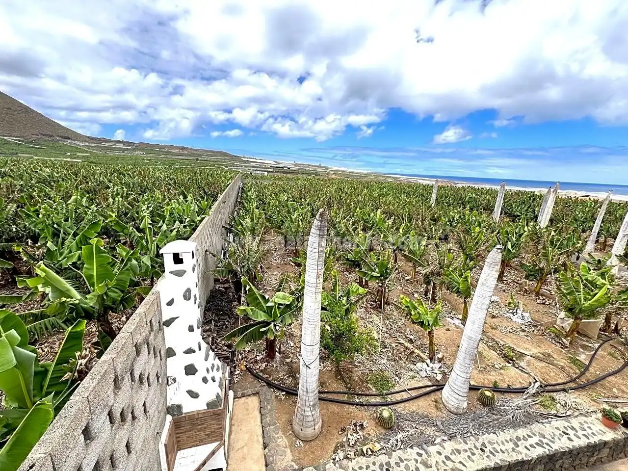 Finca rústica en venta en Los Silos con Jardín privado y Terraza