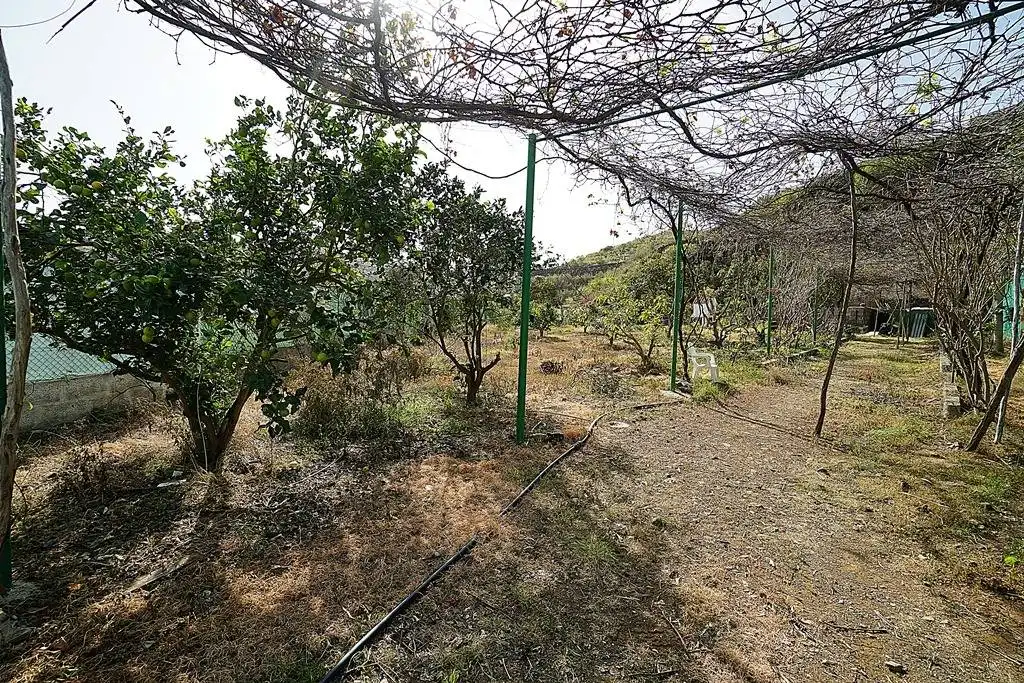 Finca rústica en venta en Camino DEHESA, 10, Santa María de Guía de Gran Canaria