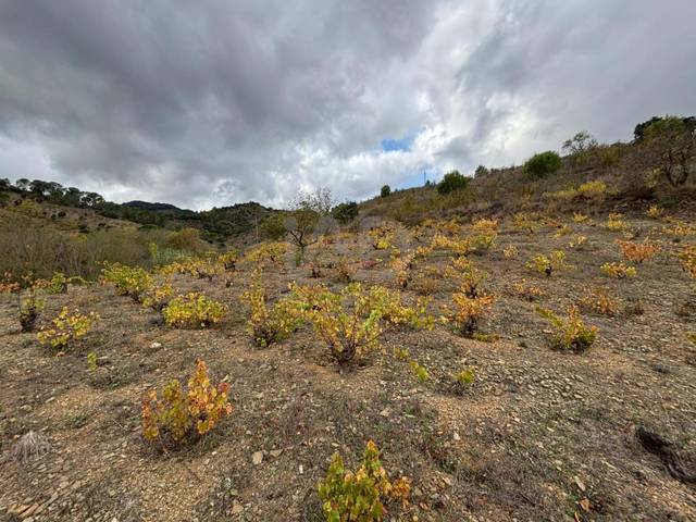 Terreno en Venta en Porrera