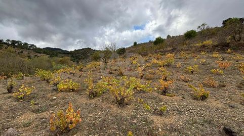 Foto 3 de Terreny en venda a Porrera, Tarragona