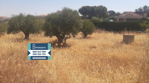 Oferta terreno en venta Don Benito, imagen 4