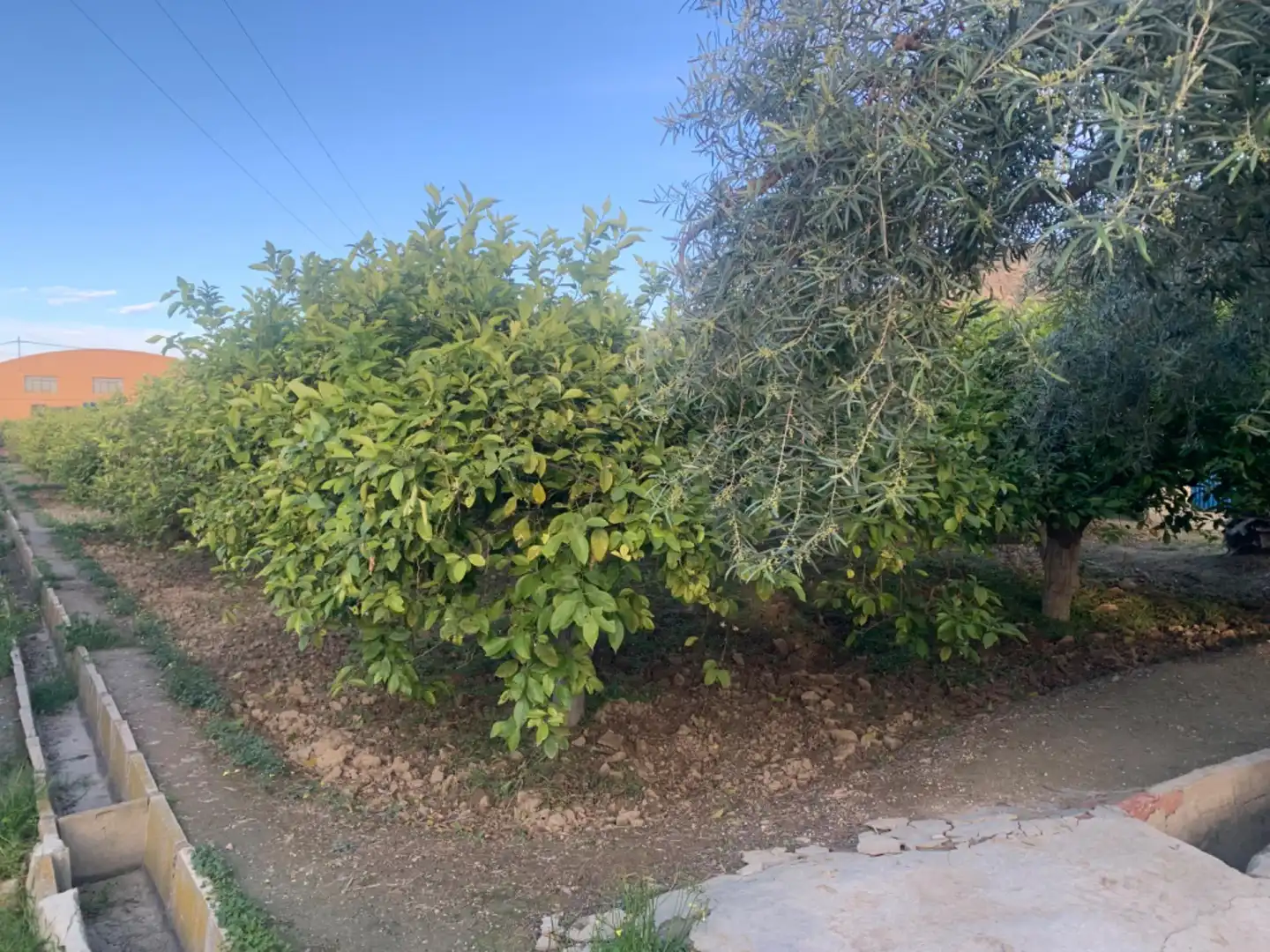 Terrenys i solars en venda a Pedanías Este, imagen 3