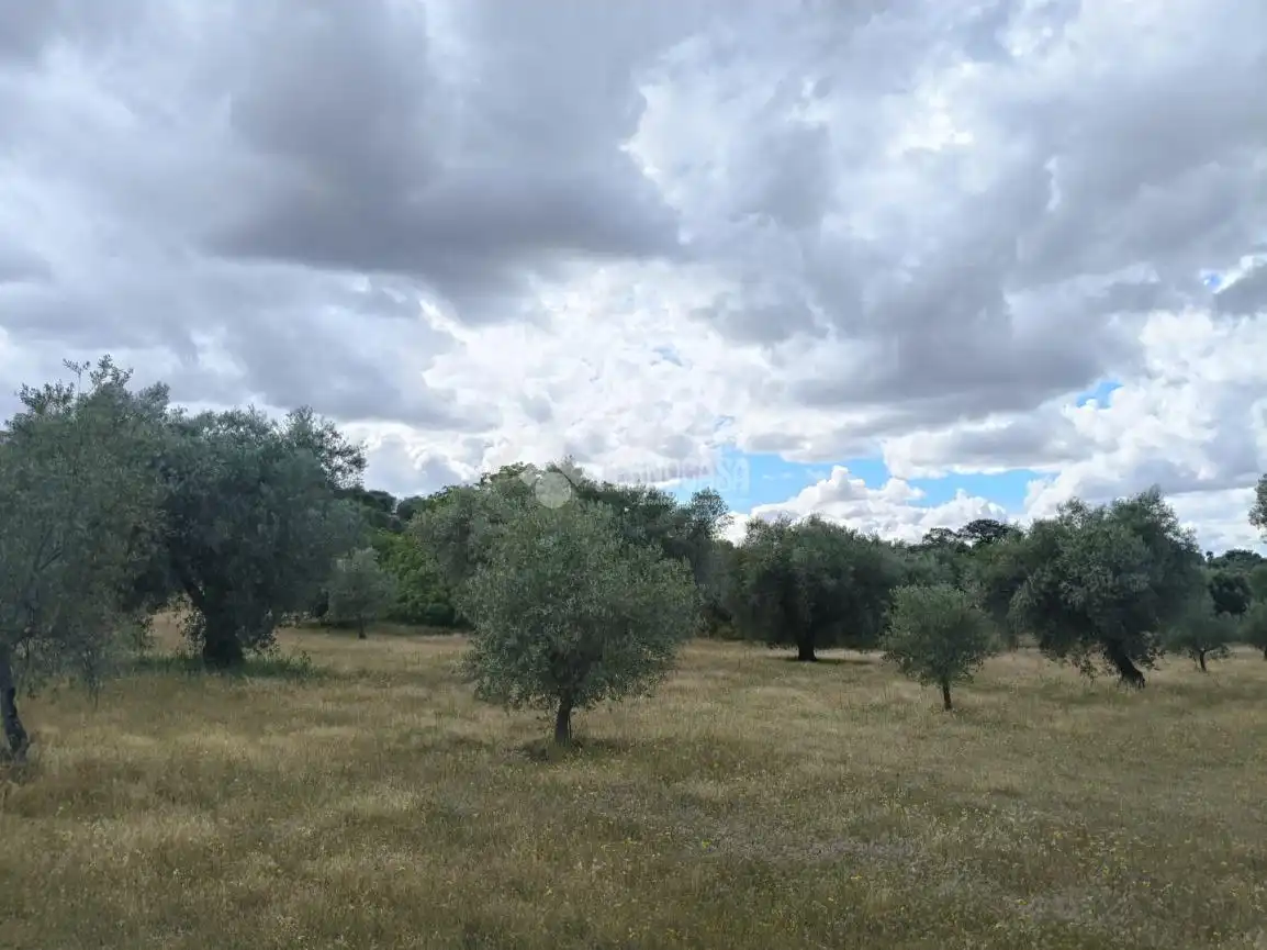 Finca rústica en venda en San Martín de Pusa amb Moblat i Balcó