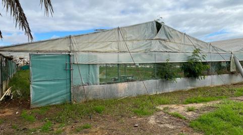 Foto 5 de Casa o chalet en venta en Los Palacios y Villafranca, Sevilla