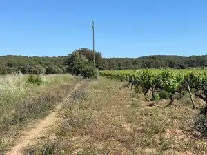 Terreno en venta en L'Arboç