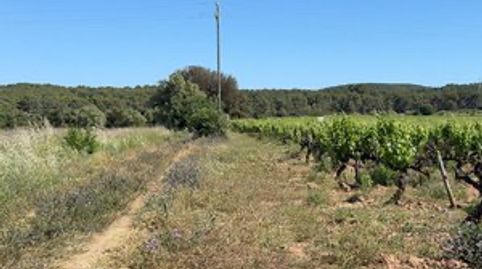 Foto 2 de Terreny en venda a Carrer de L'hospital, 22, L'Arboç, Tarragona