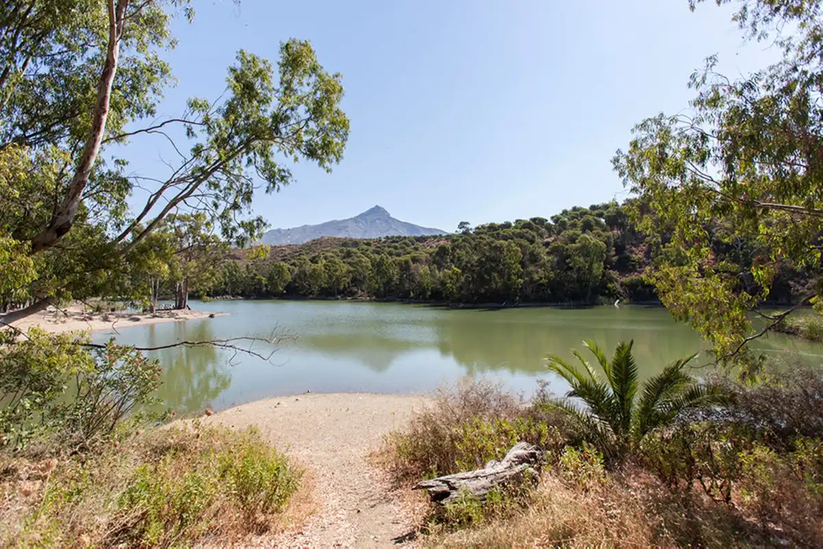 Detached homes for sale in Marbella  with Air Conditioner, Furnished and Balcony