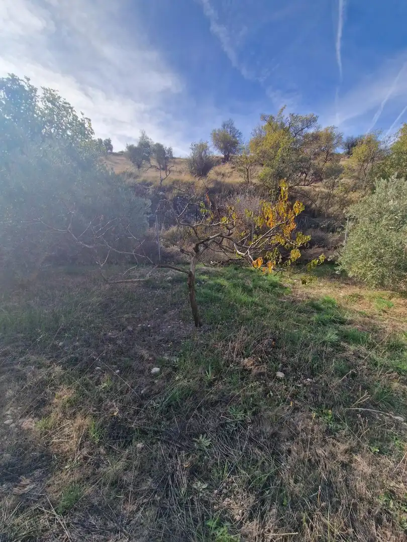 Maison rustique avec jardin à vendre à Cogollos de la Vega, imagen 80