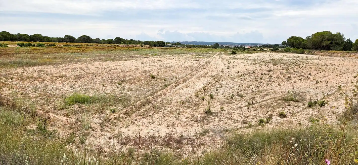 Residencial en venta en Elche / Elx