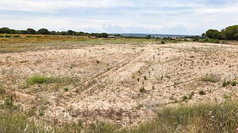 Foto 3 de Residencial en venta en Valverde, Elche / Elx