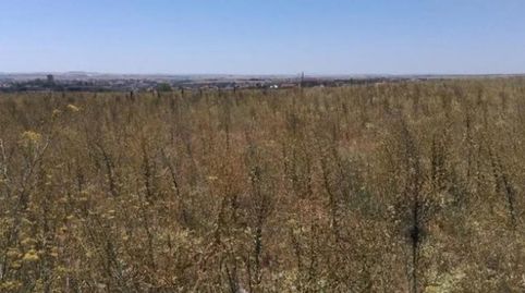 Foto 3 de Residencial en venta en Calle la Lobata, San José Obrero, Zamora Capital