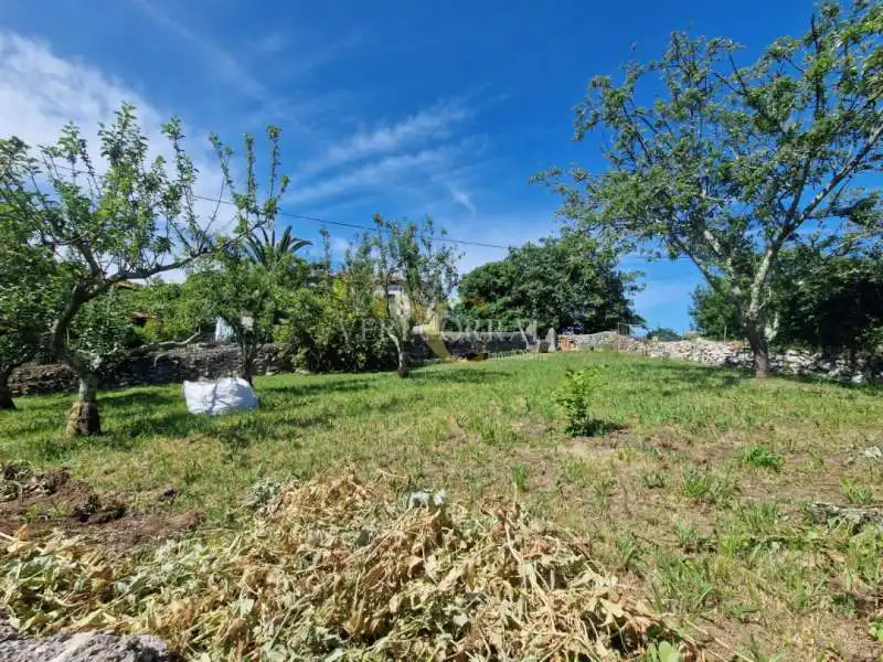 Maison à vendre à Celoriu, imagen 11