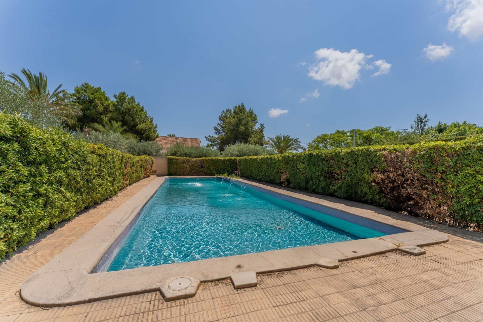 Piscina de Casa o xalet en venda en Elche / Elx