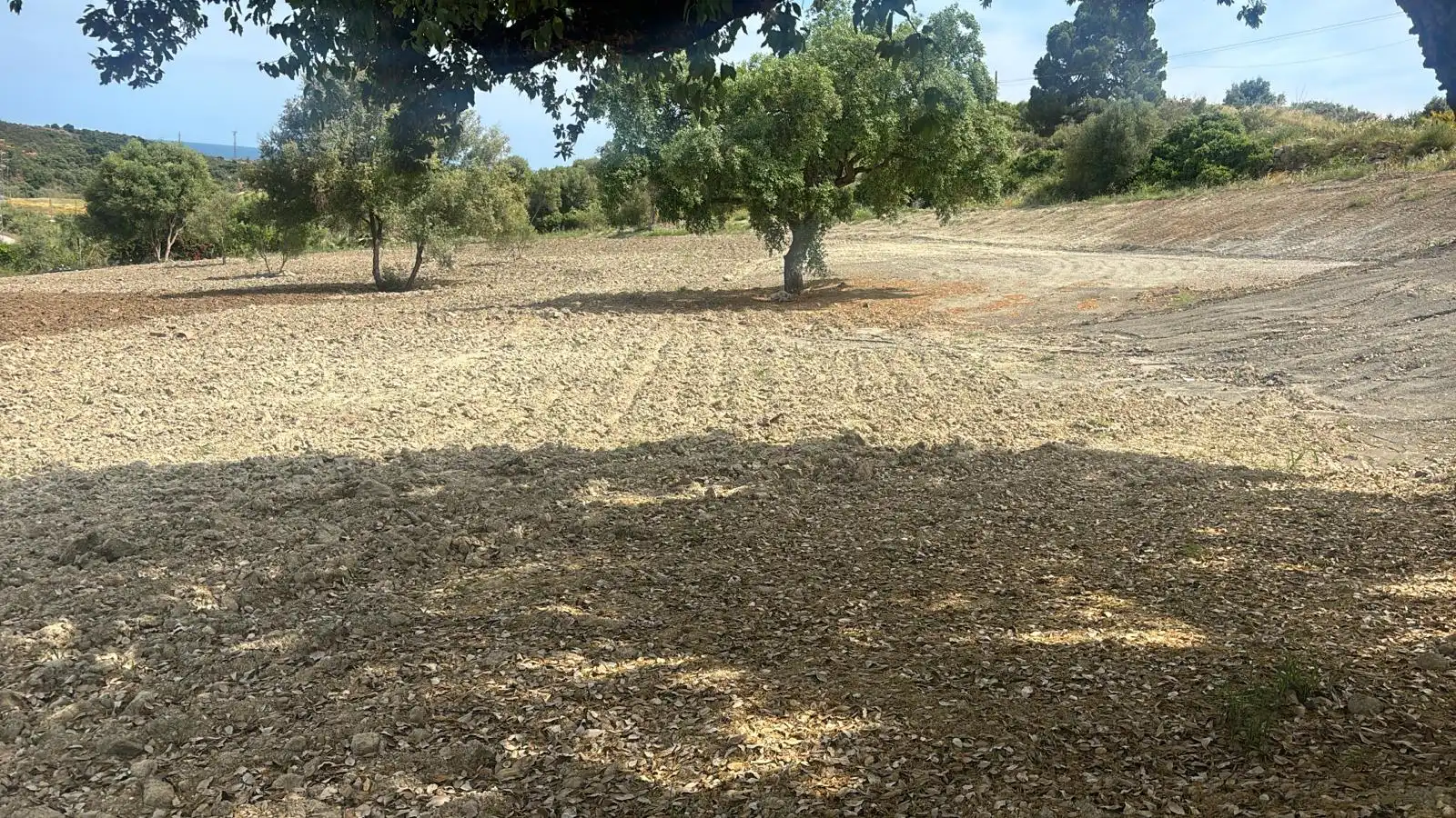 Rural land for sale in Camino Nicola