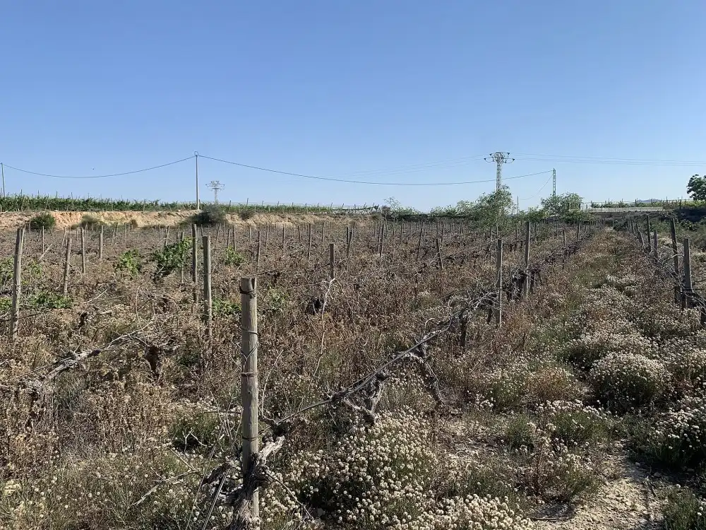 Terreno residencial en venta en Monforte del Cid, imagen 10