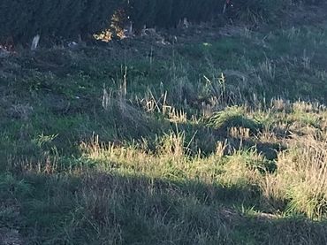 Terreni e lotti in vendita a Astorga