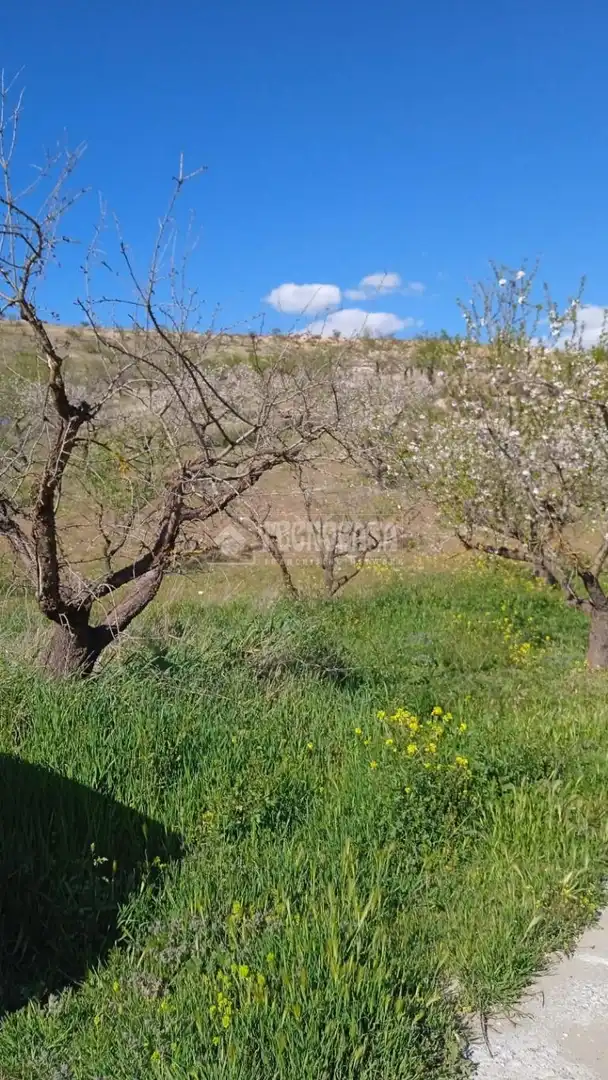 Rustikales Grundstück zum Verkauf in Gójar, imagen 2