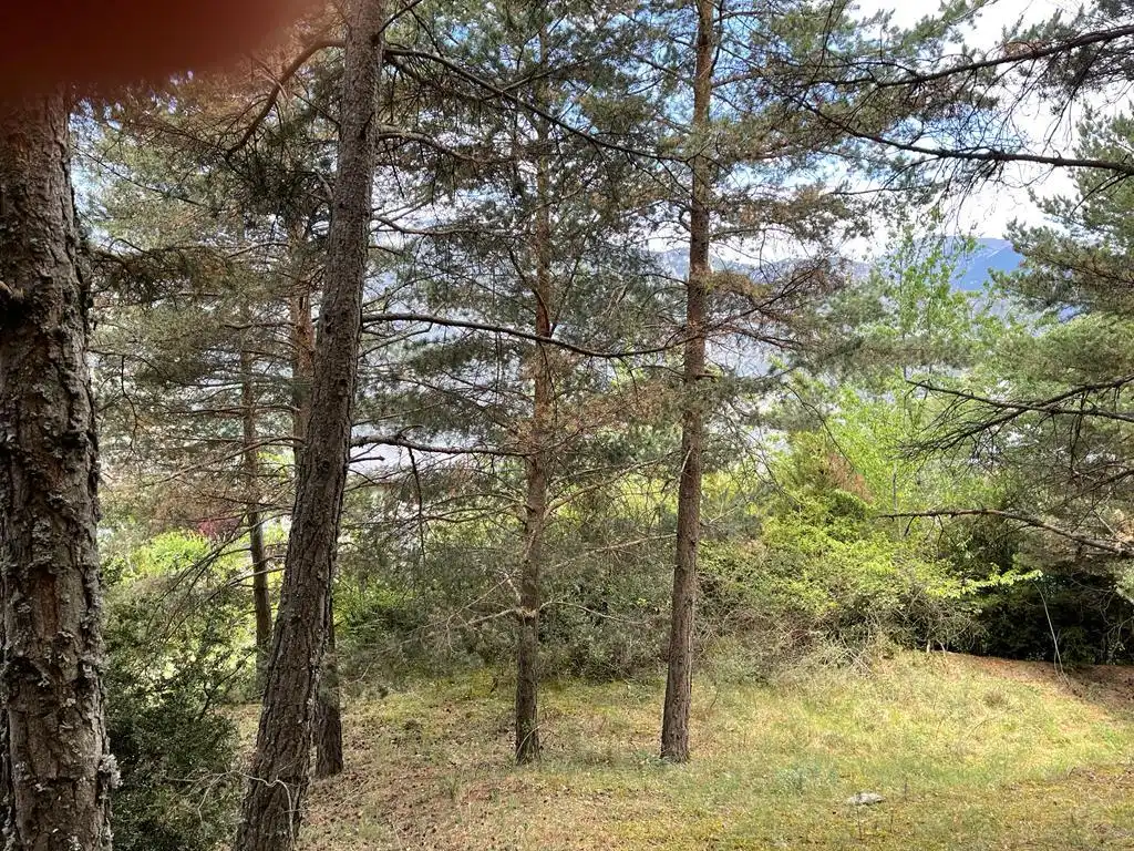 Lands and plots for sale in Aubinyà - Juberri, imagen 5