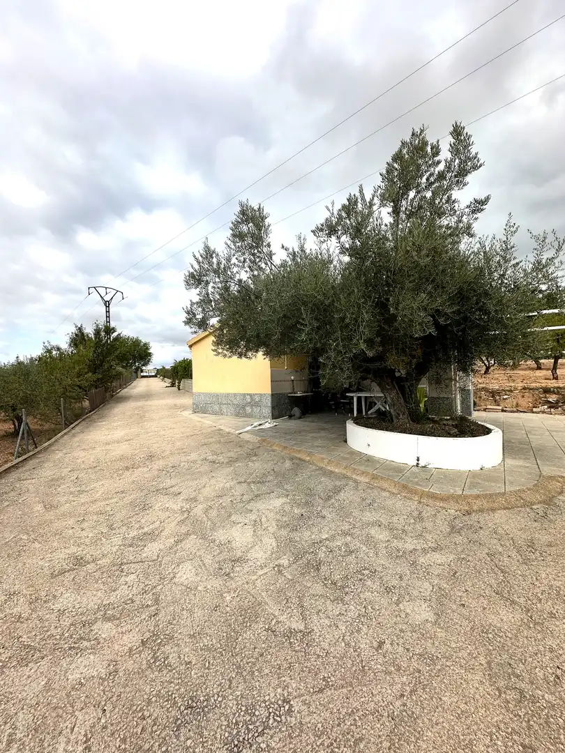 Terreno rústico en venta en Ibi, imagen 5
