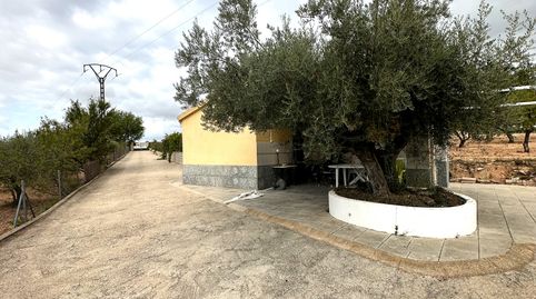 Terreno edificable pegado al pueblo, immagine 5