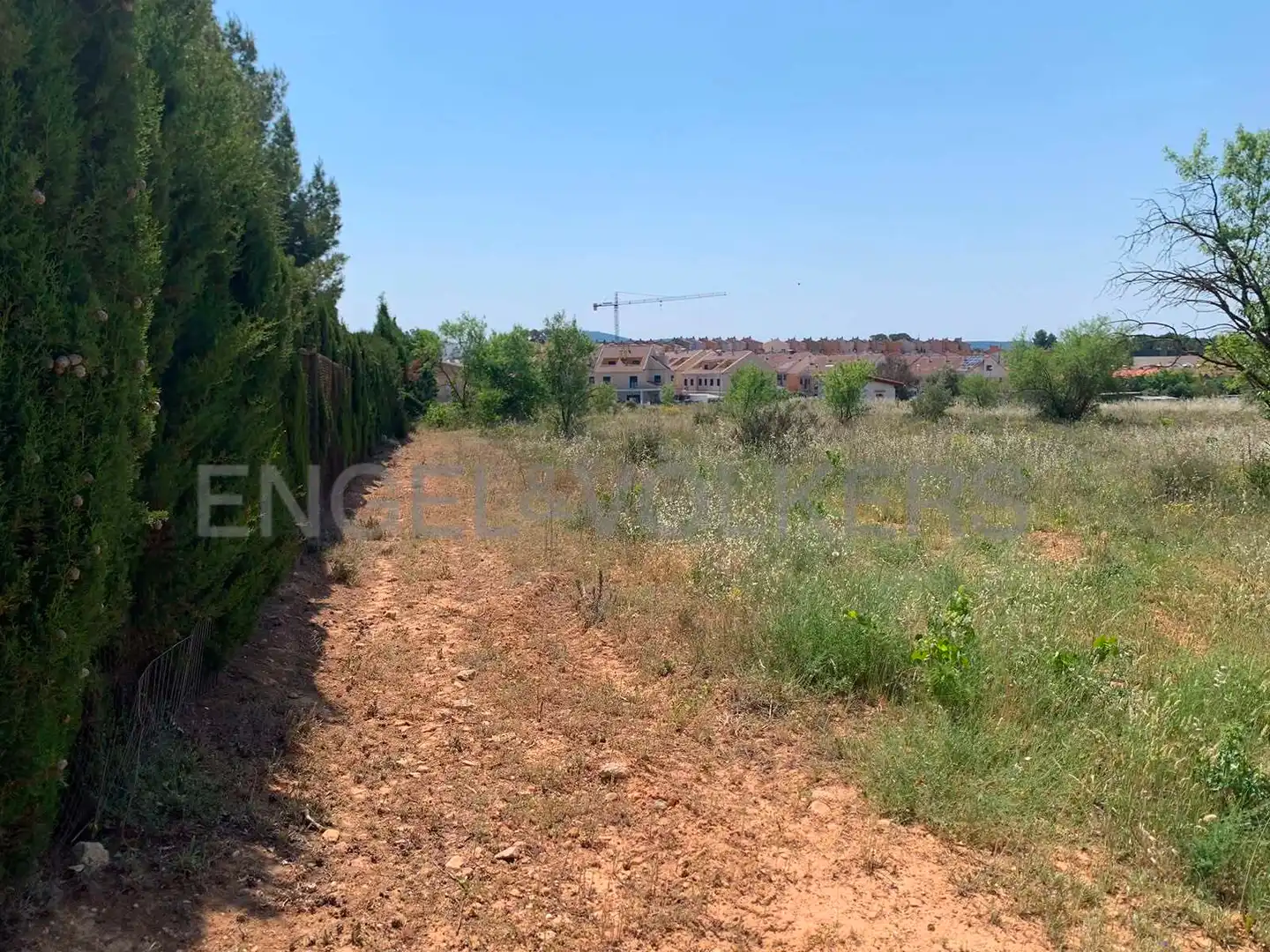Terreny rústic en venda a Requena, imagen 7