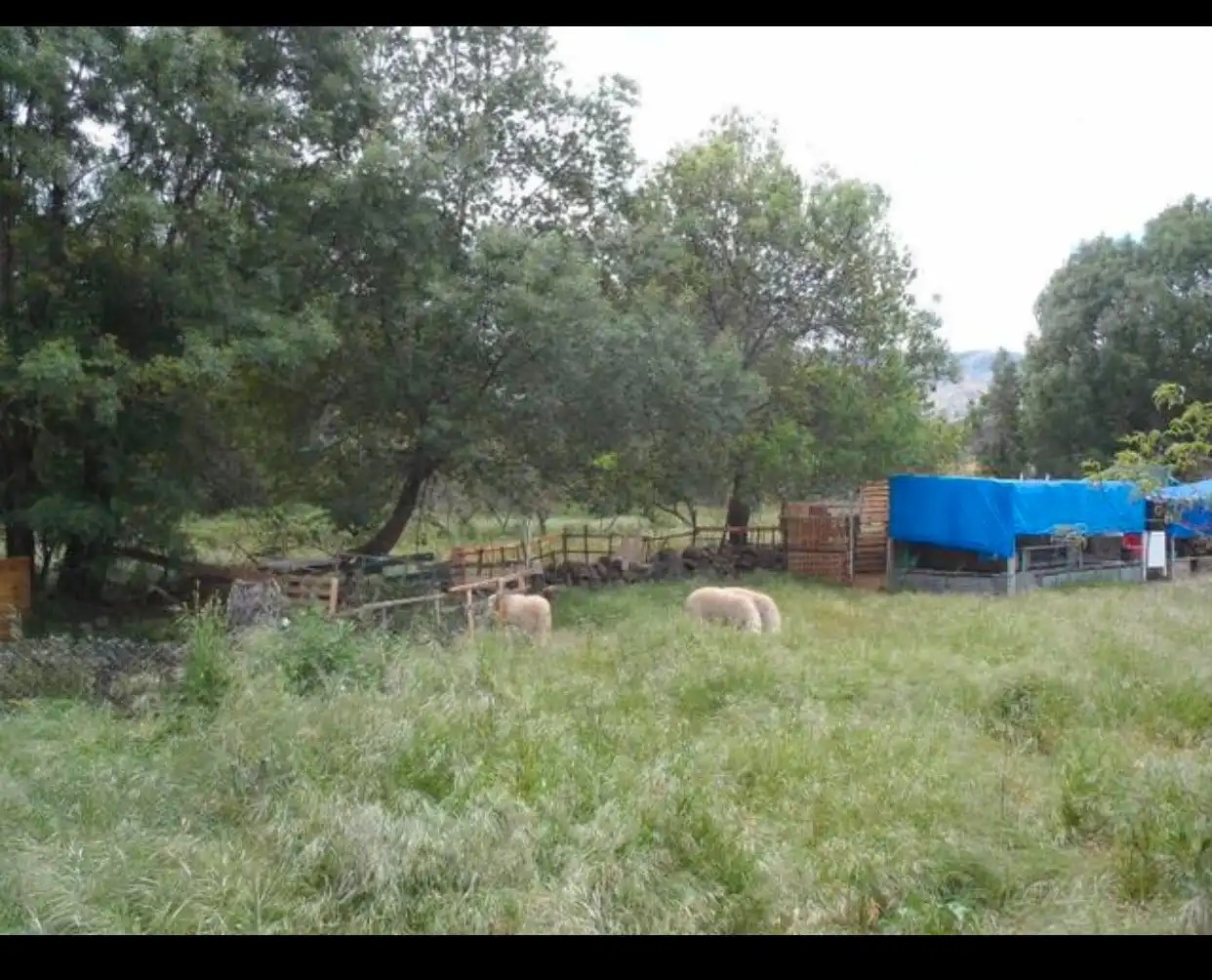 Terreni e lotti in vendita a Burgohondo