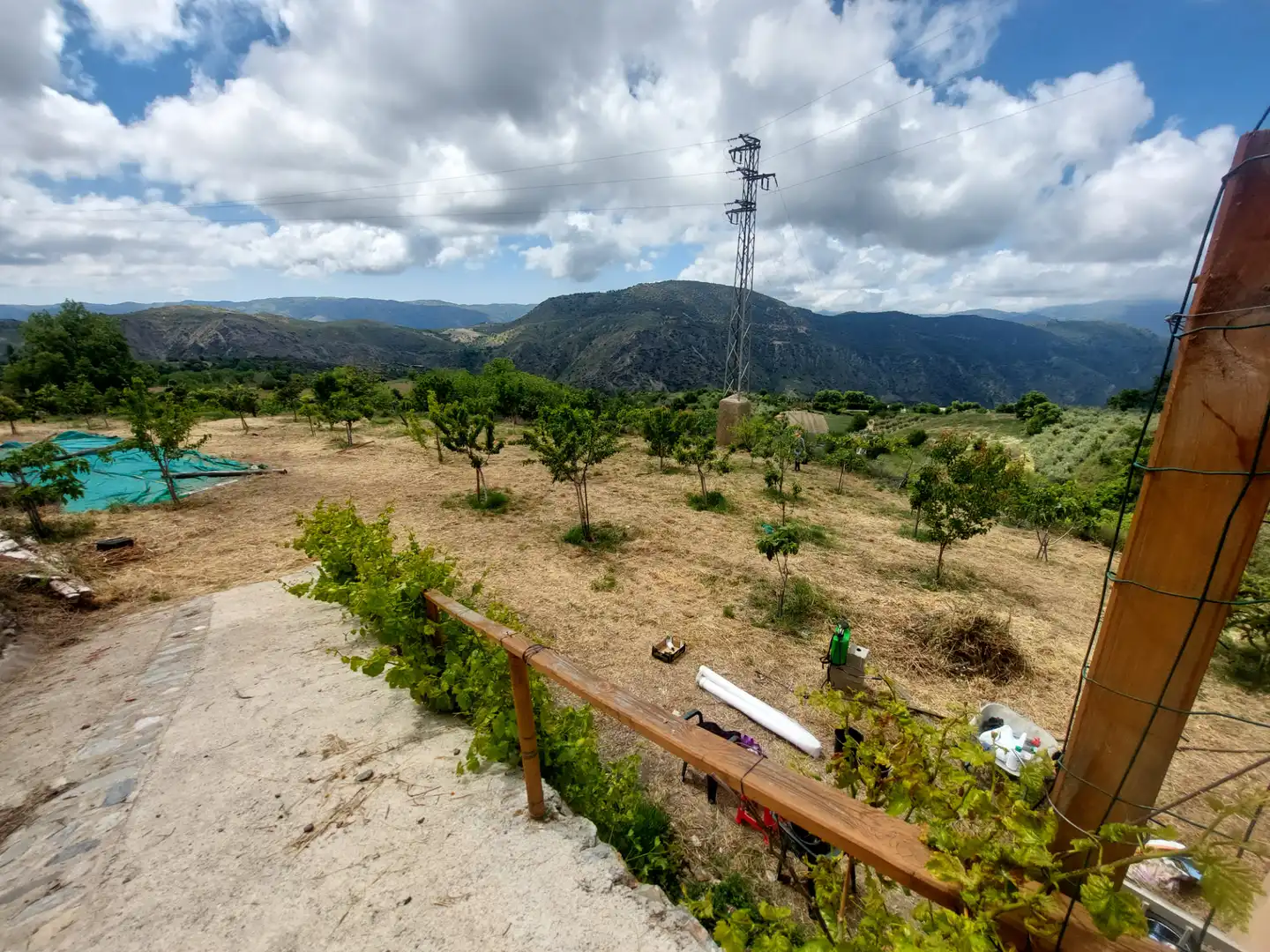 Land for sale in Pórtugos