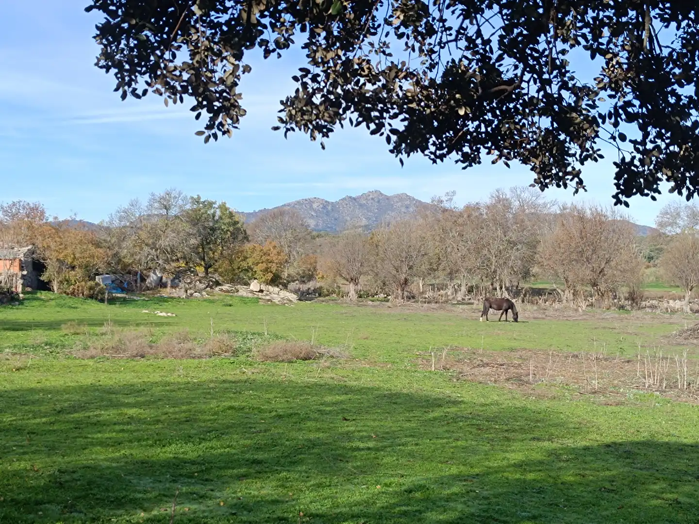 Wohnbaugrundstück zum Verkauf in Colmenar del Arroyo