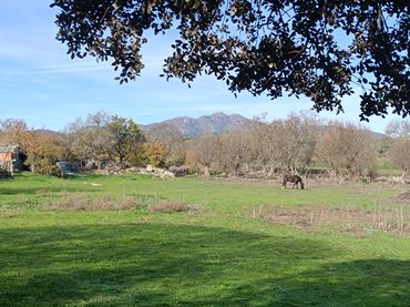 Terreno residencial en venta en Colmenar del Arroyo