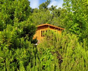 Jardí de Casa o xalet en venda en Hontanar