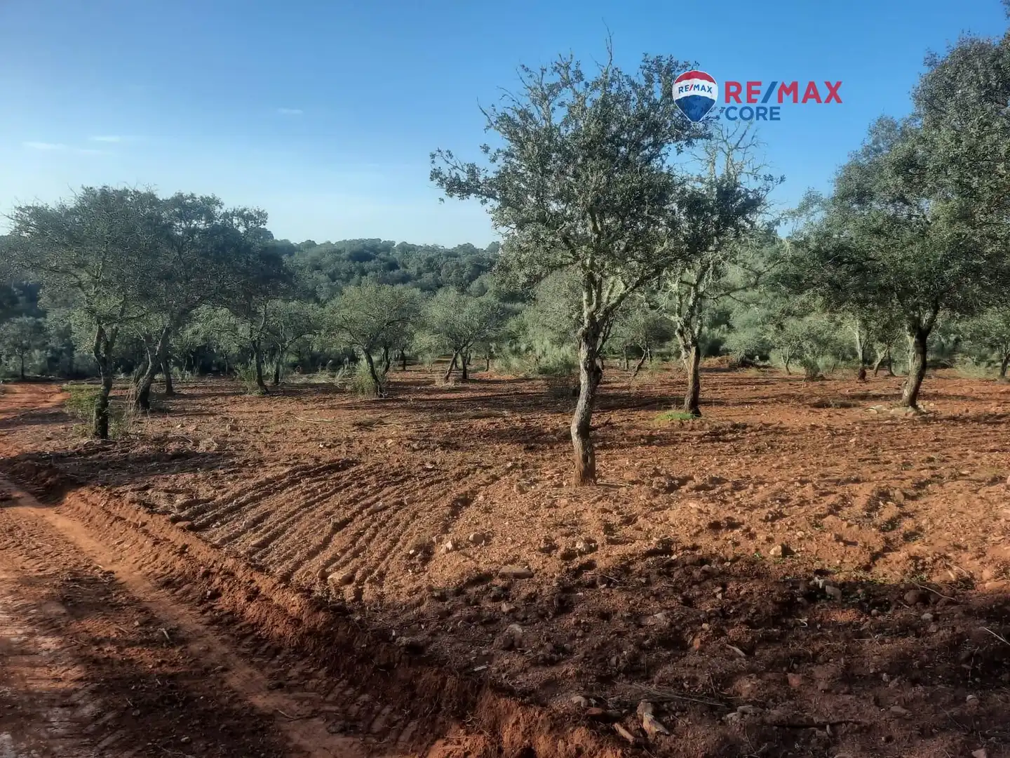 Terreni e lotti in vendita a Alburquerque, imagen 53