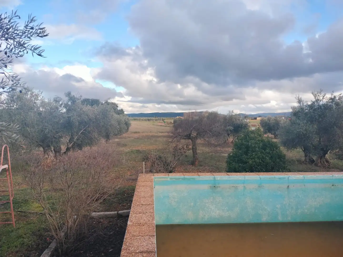 Finca rústica en venta en Argamasilla de Calatrava