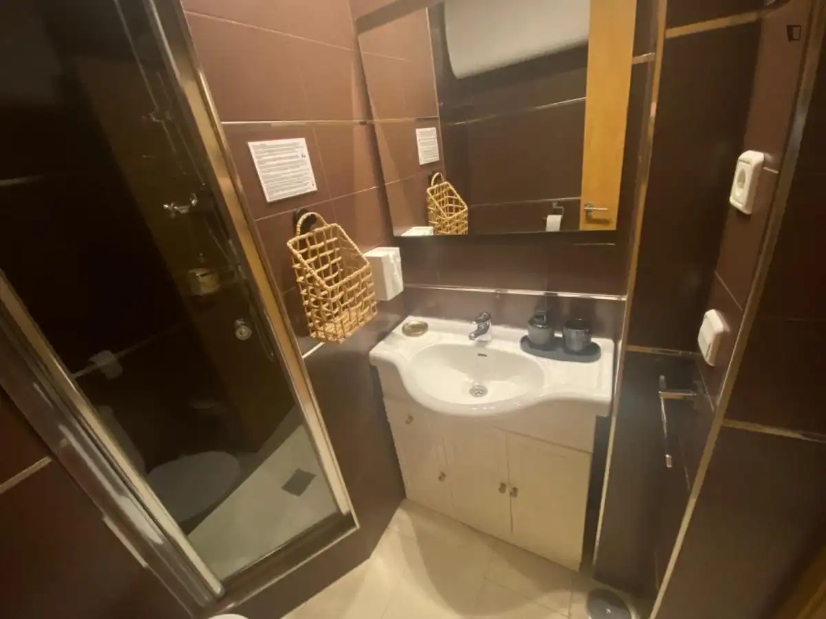 Bathroom of Apartments for rent in Madrid  with Air Conditioner, Furnished and Oven