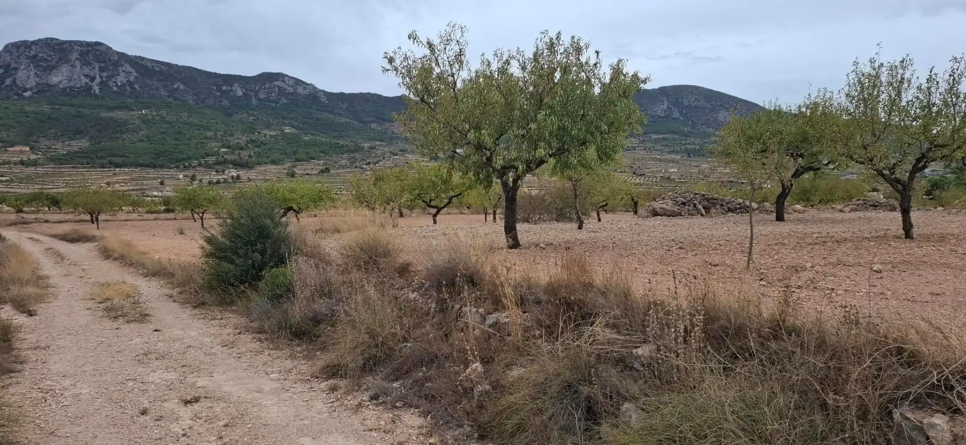 Terrain rustique à vendre à La Romana, imagen 7