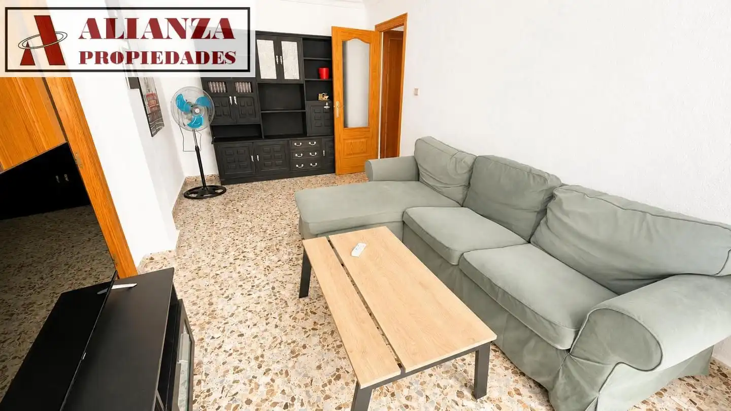 Living room of Flat for rent in Málaga  with Terrace