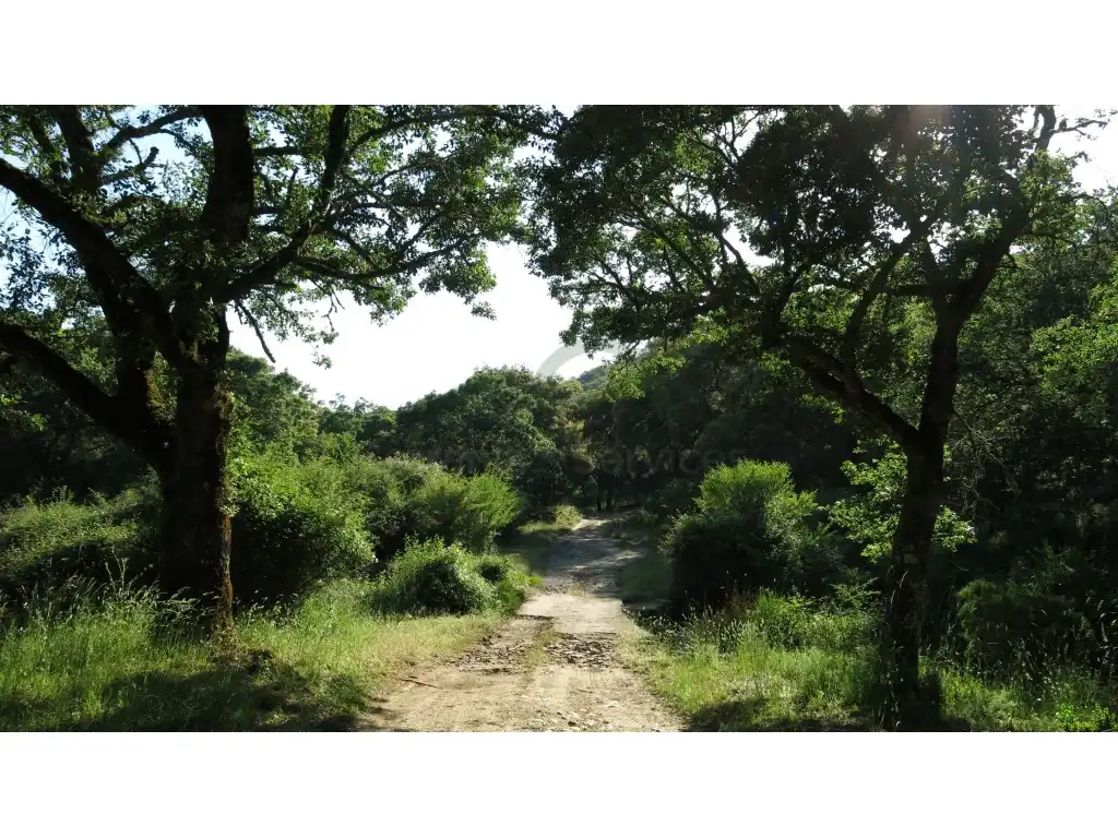 Casa o chalet en venta en Montejaque