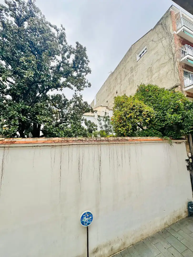 Studio mit Aufzug zur Miete in Calle Paz, imagen 12
