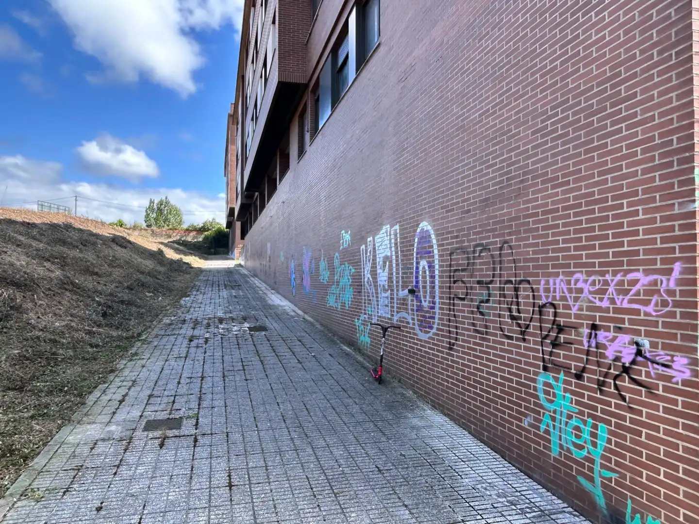 Geschaftsraum zur Miete in Calle Calle Río Piloña, Contrueces