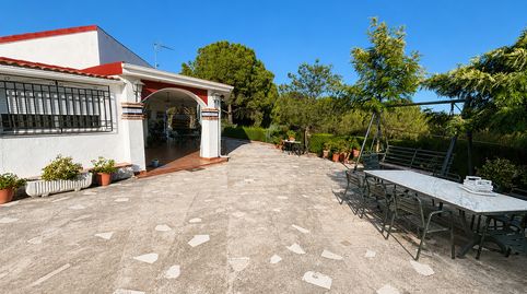 Viña en zona Alcaprrosa-Dehesa El Pinar, imatge 2