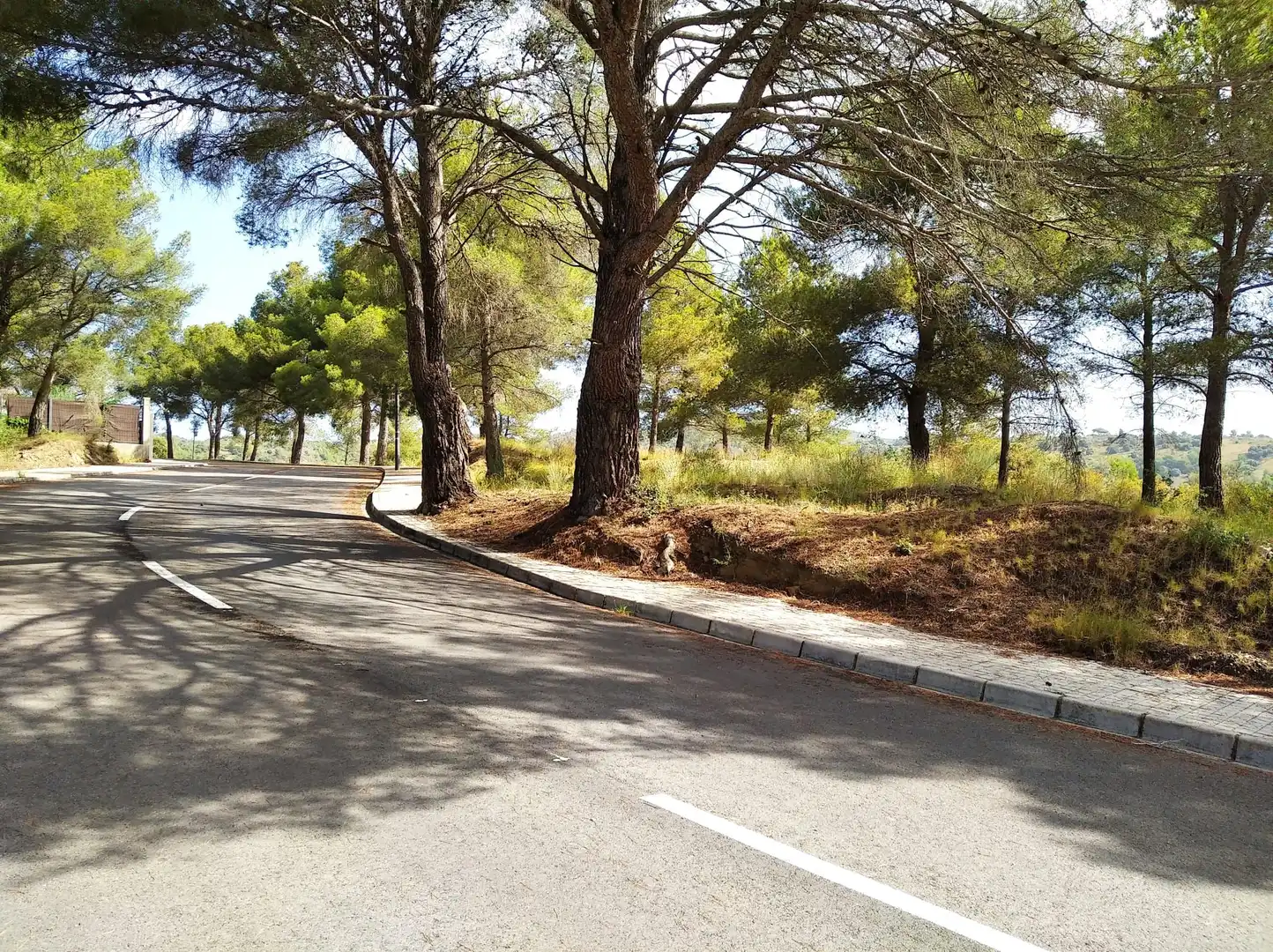 Terreni e lotti in vendita a Carrer Arbolí, imagen 4