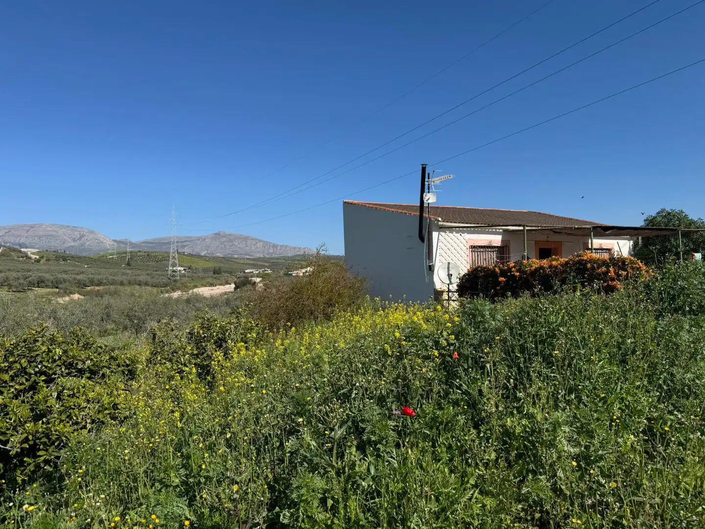 Terreni e lotti in vendita a Álora