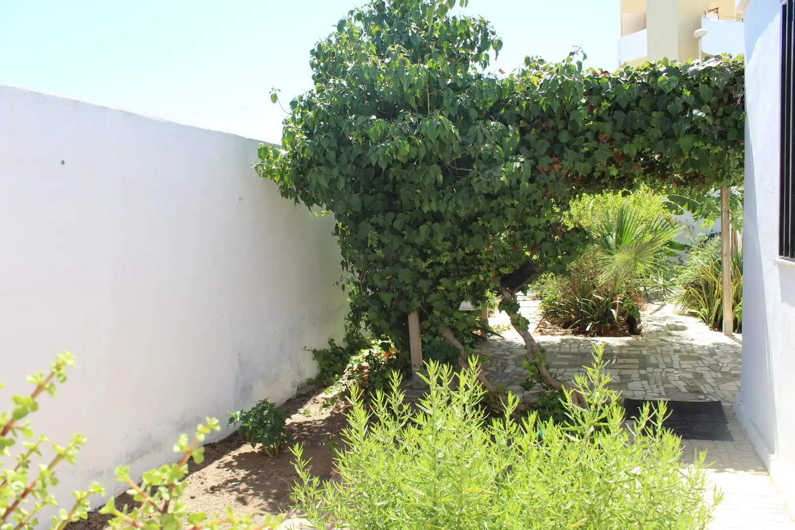 Casa o chalet en venta en Calle Mar Negro, 1, El Sabinar – Urbanizaciones – Las Marinas – Playa Serena