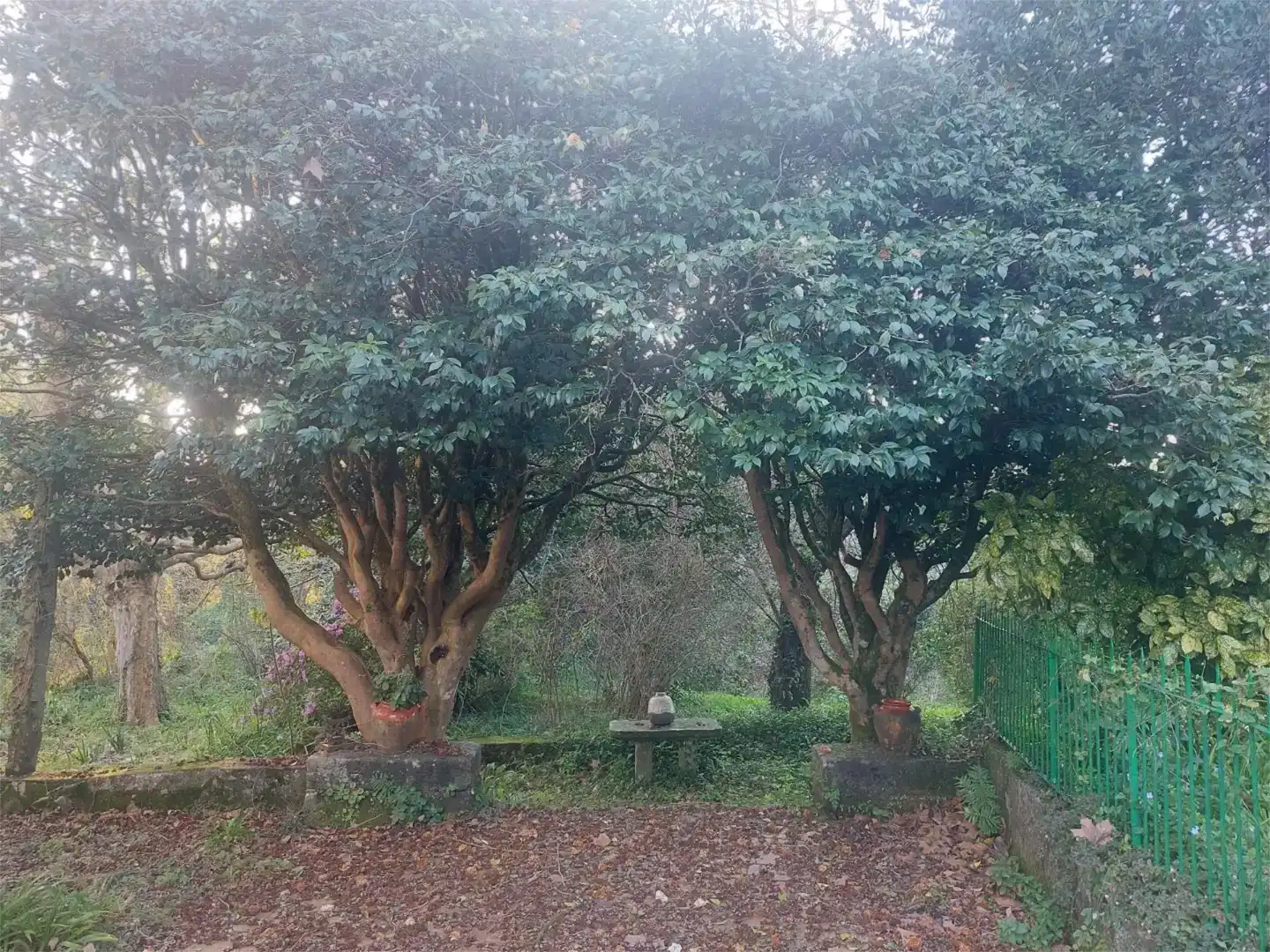 Jardí de Casa o xalet en venda en Vilagarcía de Arousa